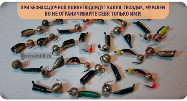 Как эффективно ловить плотву в гухозимье