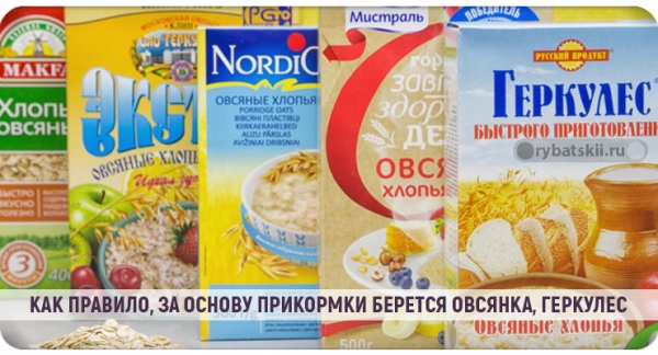 Как эффективно ловить плотву в гухозимье