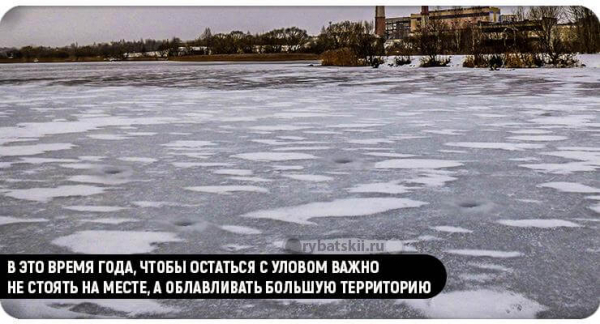 Как поймать окуня в феврале и на какие снасти