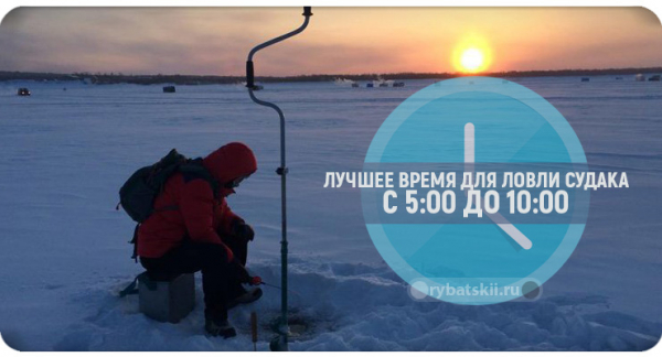 Зимняя рыбалка на судака со льда в разные месяцы