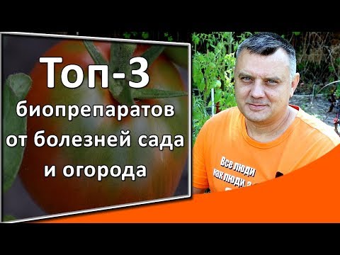 Защита сада и огорода от болезней и вредителей