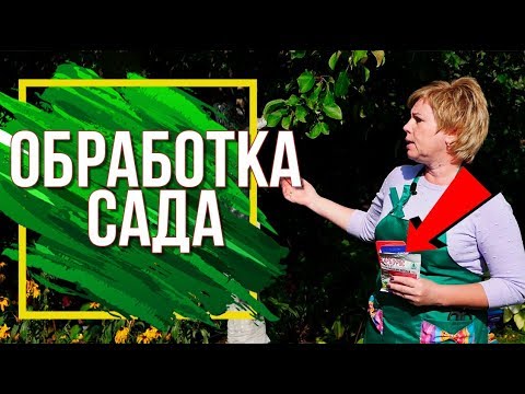 Обработка сада и огорода от вредителей