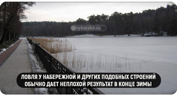 Как поймать окуня в феврале и на какие снасти