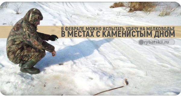 Зимняя рыбалка на судака со льда в разные месяцы