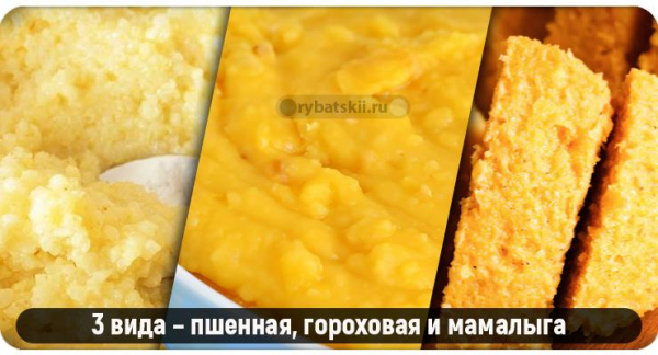Как приготовить лучшую прикормку на карася зимой
