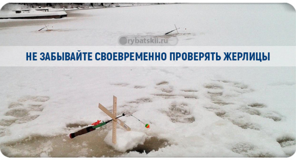 Ловля форели зимой на жерлицы и поставушки