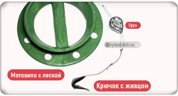 Рыбалка на налима зимой с соблюдением закона