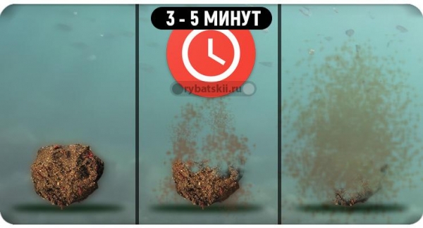 Зимний прикорм для плотвы и сороги в домашних условиях