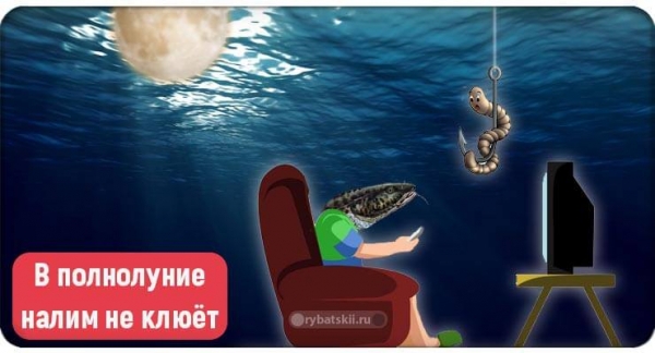 Рыбалка на налима зимой с соблюдением закона