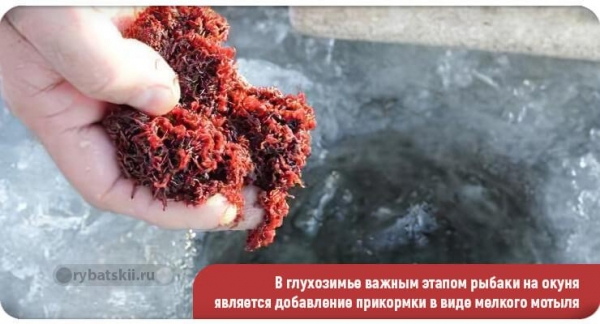Техника ловли окуня зимой и подбор снастей