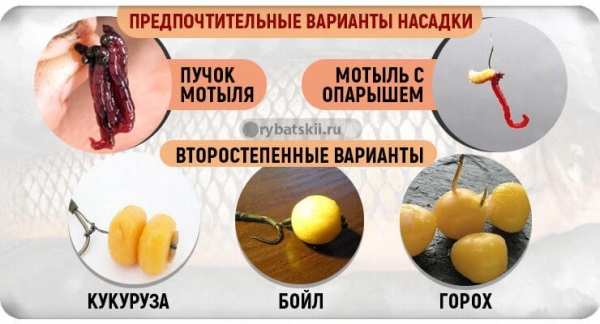 Тактика зимней рыбалки на карпа и подбор наживки