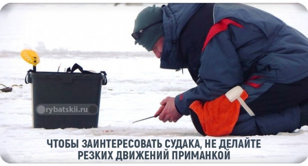 Как выбрать мормышки на судака для зимней рыбалки