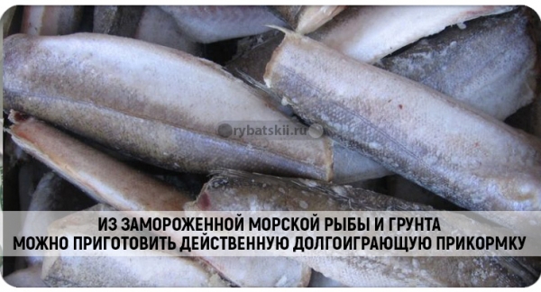 Как ловить окуня в глухозимье и привлечь хищника