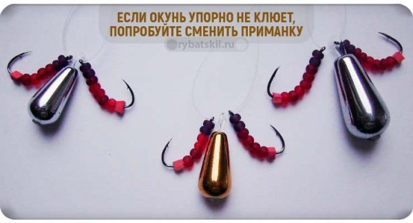 Как найти окуня зимой на озере и реке