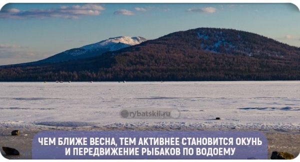 Как найти окуня зимой на озере и реке
