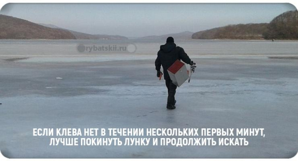 Рыбалка на окуня по первому льду на блесну, балансир и мормышку