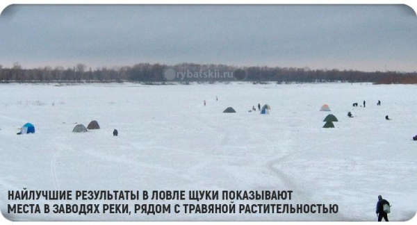 Тактика ловли щуки по первому льду и выбор снасти