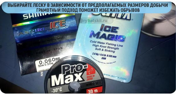 Тактика ловли щуки по первому льду и выбор снасти