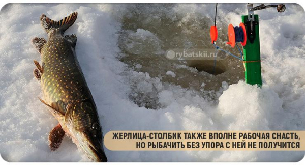Тактика ловли щуки по первому льду и выбор снасти