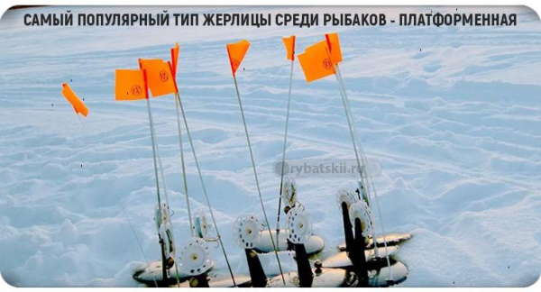 Тактика ловли щуки по первому льду и выбор снасти