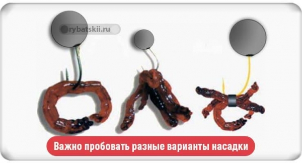 Как правильно насаживать мотыля на крючок разными способами