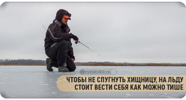 Тактика ловли щуки по первому льду и выбор снасти