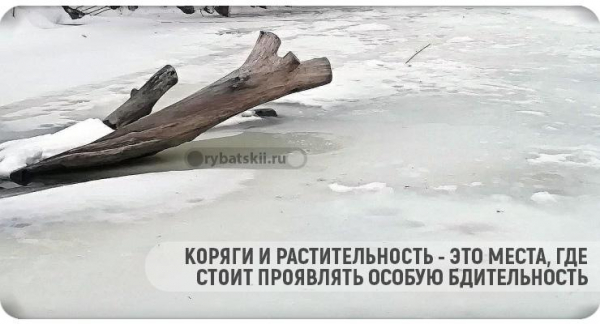 Рыбалка на окуня по первому льду на блесну, балансир и мормышку