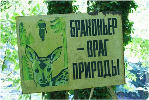 Ответственность охотника