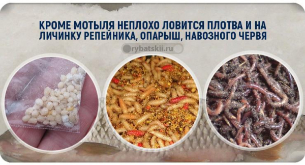 Как ловить зимой плотву на поплавок и оснастить поплавочную снасть