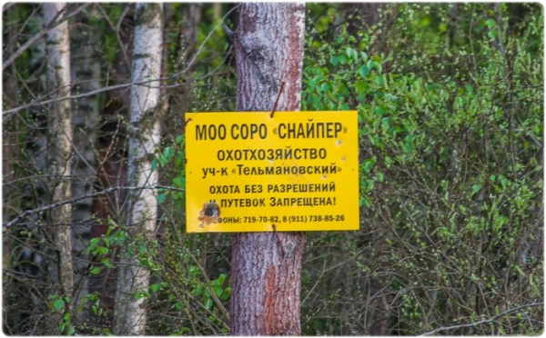 Ответственность охотника