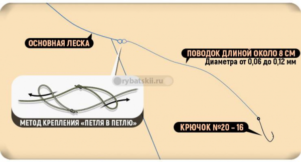 Как ловить зимой плотву на поплавок и оснастить поплавочную снасть