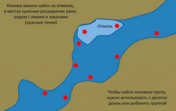 Ловля налима зимой