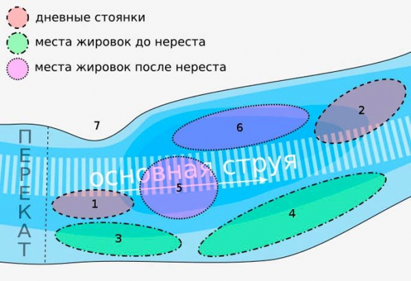 Ловля налима зимой
