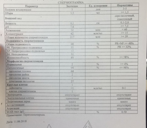 Спермограмма по Крюгеру: особенности теста, расшифровка анализа