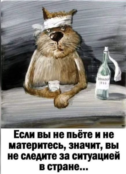 Может улыбнет? #3
