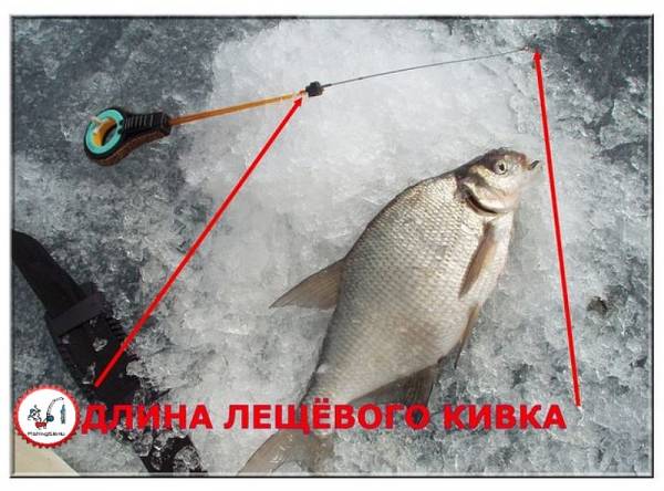 Кивки для безмотылки. Конусный или прямой?