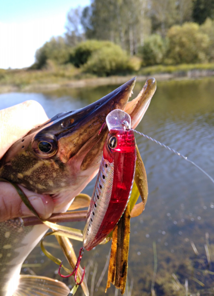 Daiwa Morethan X-Cross 95SSR - знакомство и первые впечатления.