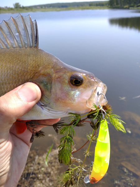 Daiwa Morethan X-Cross 95SSR - знакомство и первые впечатления.