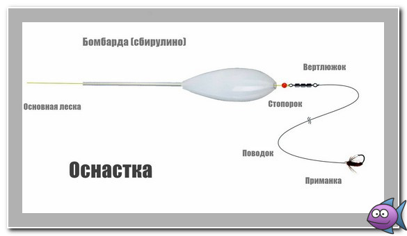 Как ловить на бомбарду