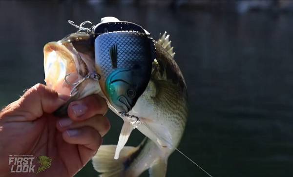 Explorer Gill Glide Bait – лучший воблер в арсенале Baitsanity