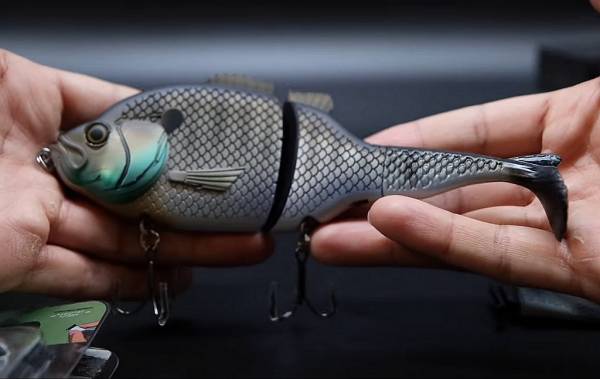 Explorer Gill Glide Bait – лучший воблер в арсенале Baitsanity