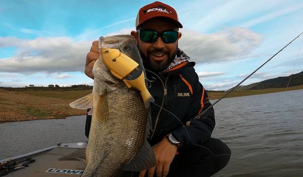 Explorer Gill Glide Bait – лучший воблер в арсенале Baitsanity