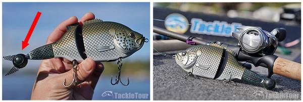 Explorer Gill Glide Bait – лучший воблер в арсенале Baitsanity