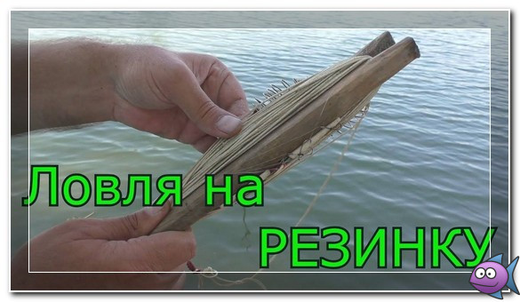 Ловля на резинку с берега