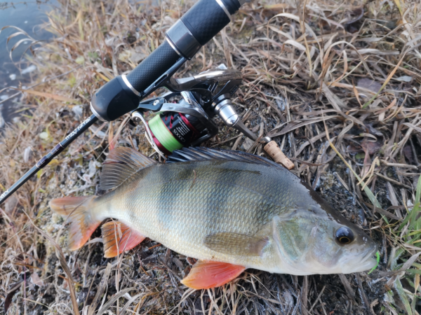 Спиннинг Crazy Fish Nano Zero - #недообзор и немного о "нано"-ловле...
