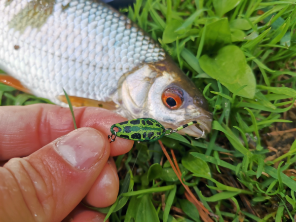 Спиннинг Crazy Fish Nano Zero - #недообзор и немного о "нано"-ловле...