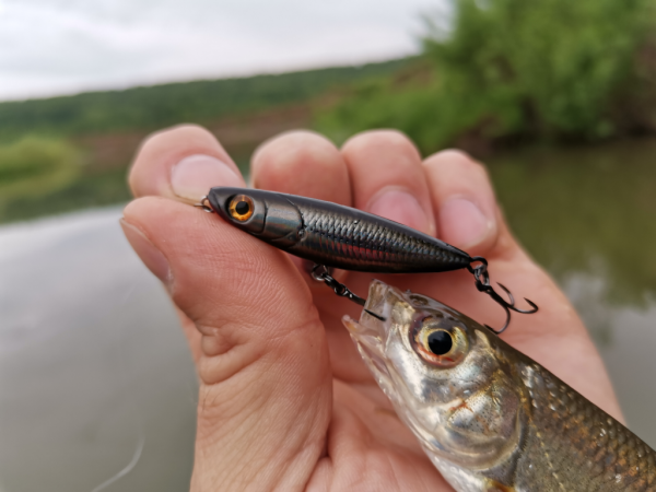 Спиннинг Crazy Fish Nano Zero - #недообзор и немного о "нано"-ловле...