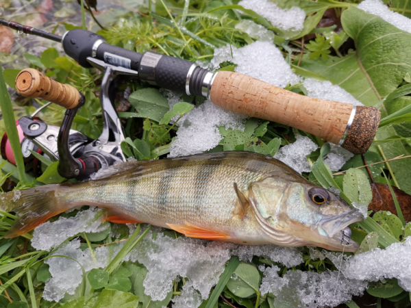 Спиннинг Crazy Fish Nano Zero - #недообзор и немного о "нано"-ловле...