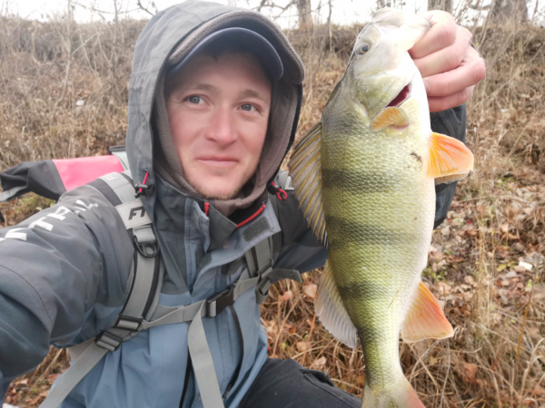 Спиннинг Crazy Fish Arion 702 uls - #недобзор и некоторые мысли о...