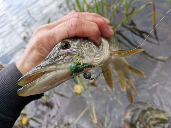 Спиннинг Crazy Fish Arion 702 uls - #недобзор и некоторые мысли о...